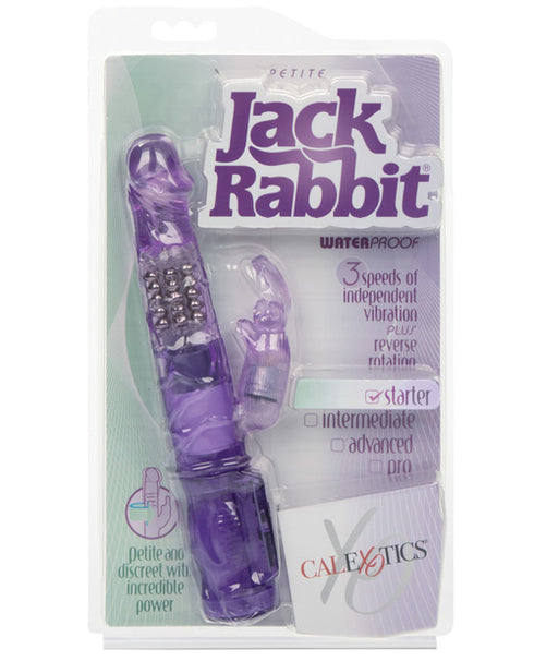 Jack Rabbit Petite