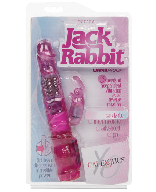 Jack Rabbit Petite WorldVibes Jack Rabbit Petite WorldVibes